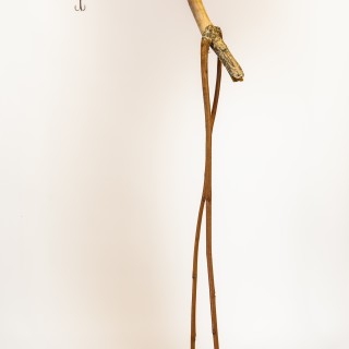 Kanalreihers Frühlingserwachen – und wer liebt mich?