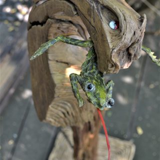 nicht jeder Frosch kann König…