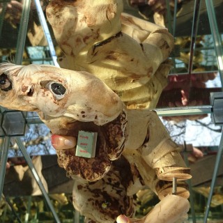 prinzip hoffnung 30x20x20 im spiegelkabinett